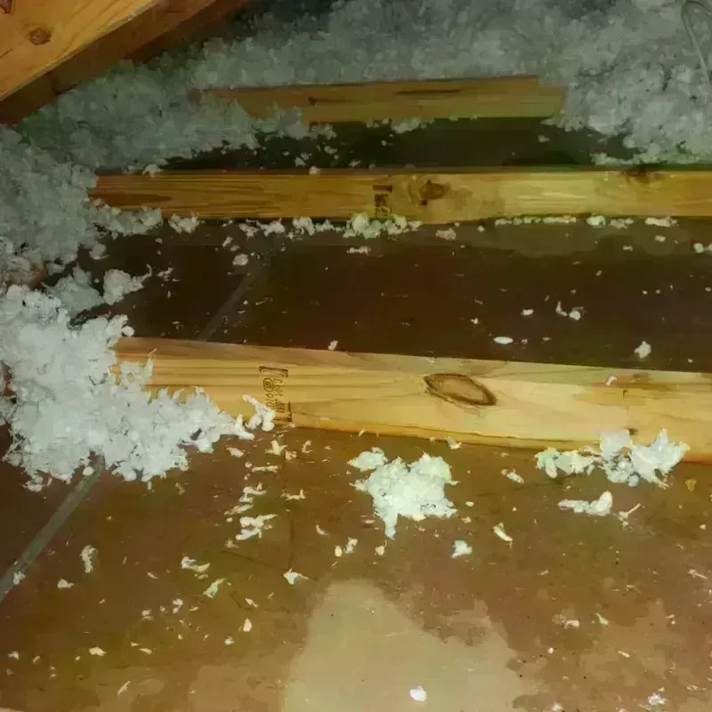 Attic Water Damage in Aberdeen, IN