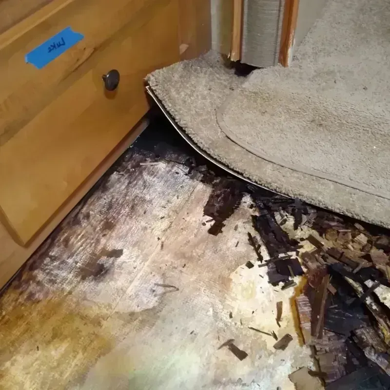 Best Wood Floor Water Damage Service in Aberdeen, IN